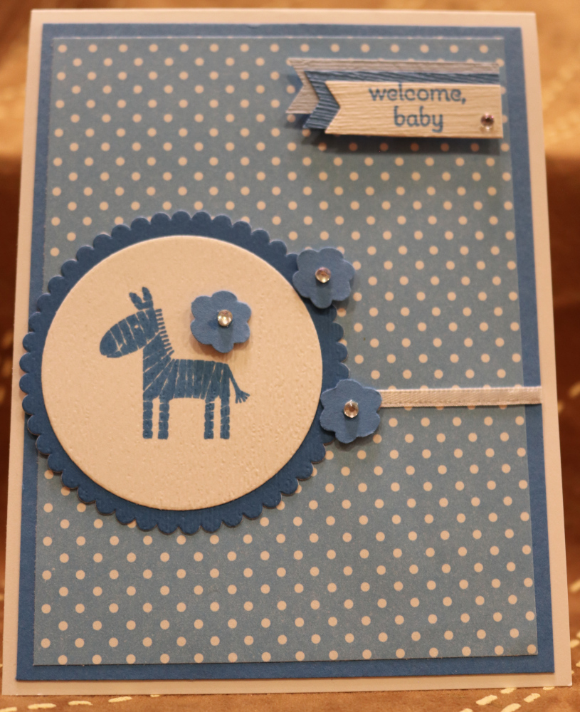 791a Baby - Blue Zebra