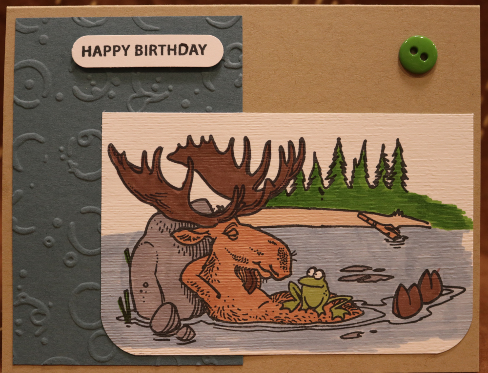 225 Animal - Moose Lounging in water