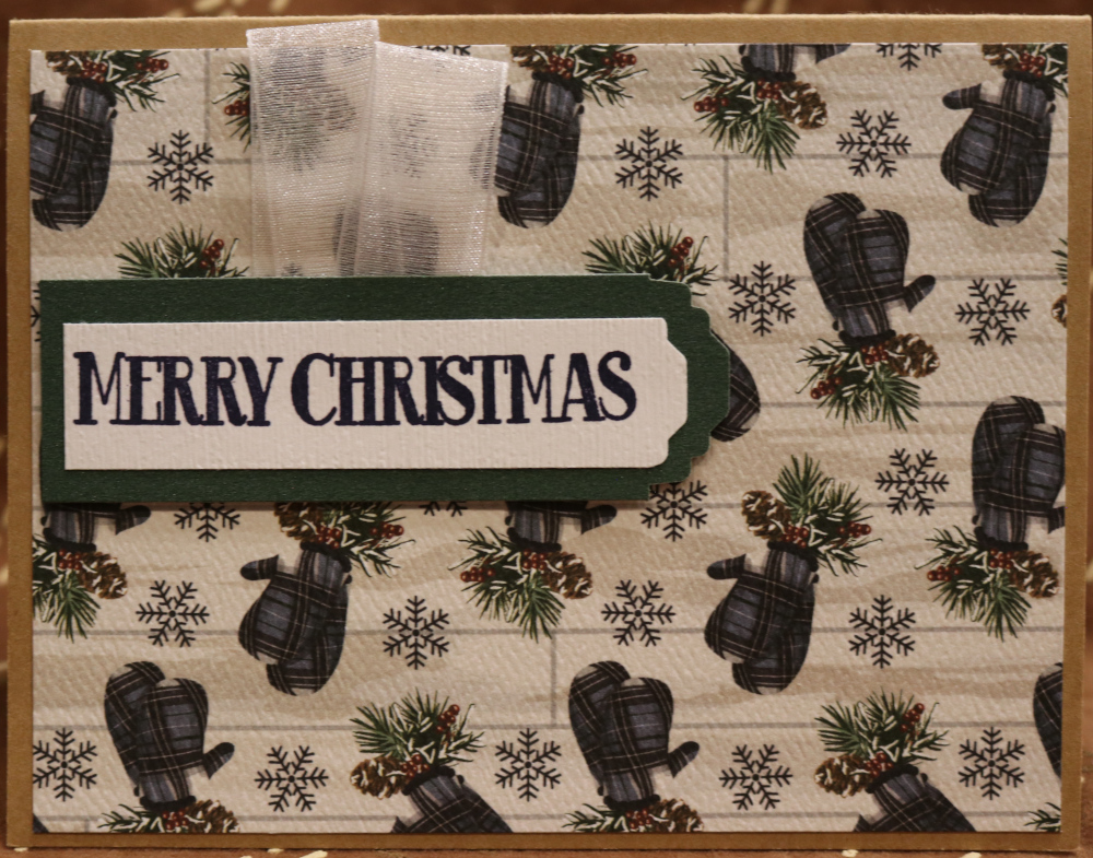 866e Merry Christmas - Mitten Background