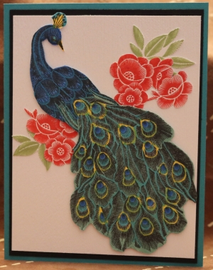 623 Blank - Peacock