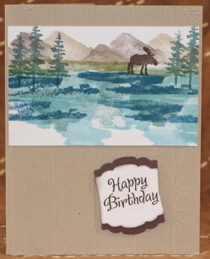 310 Male Birthday - Moose by Lake