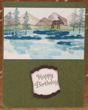 308 Male Birthday - Moose by Lake