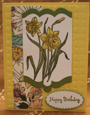 640 Female Birthday - Daffodils
