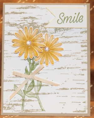 560 Blank - Daisy on Birch Background