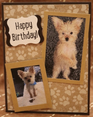 1022 Custom - Cute Puppy 