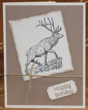 319 Male Birthday - Elk
