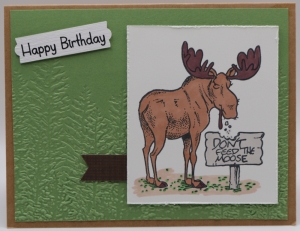 1122 Male Birthday - Don't Feed the Moose