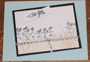 252-2 For You - Shorebirds